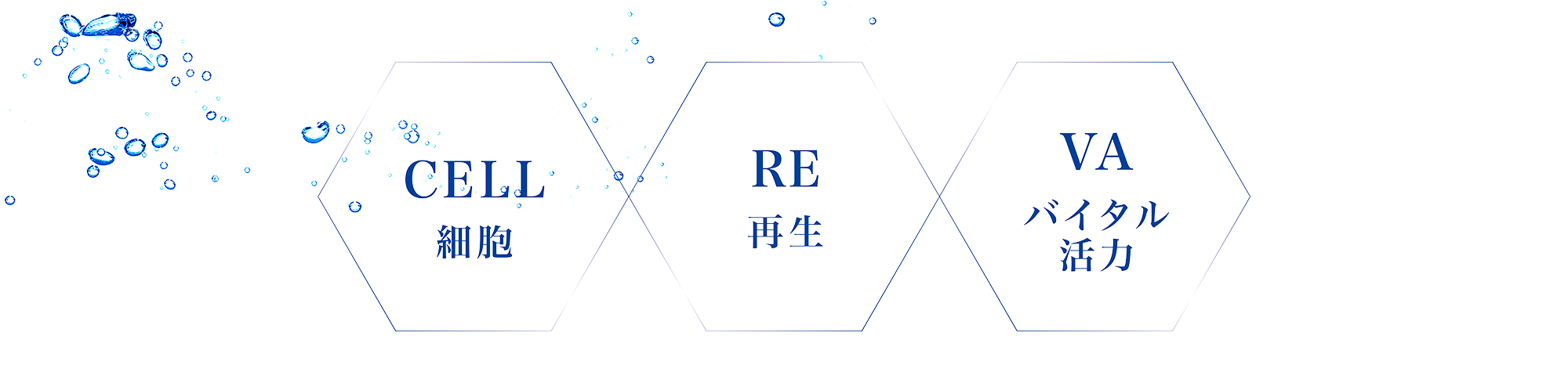 sellrevaとは